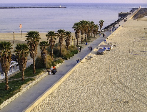 Conoce los foros de MyLogitravel