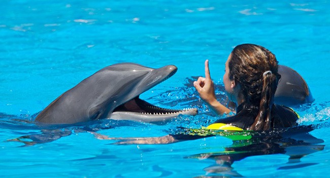 Un verano de diversión con actividades de aventura originales