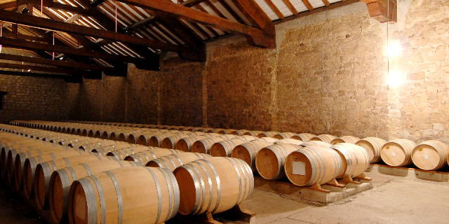 Practica enoturismo en La Rioja