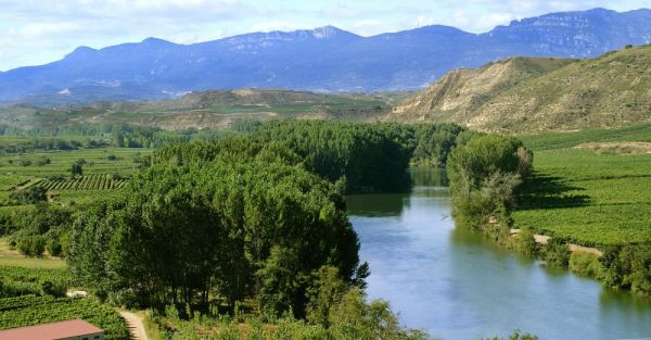 Viajar a La Rioja para disfrutar de su patrimonio cultural