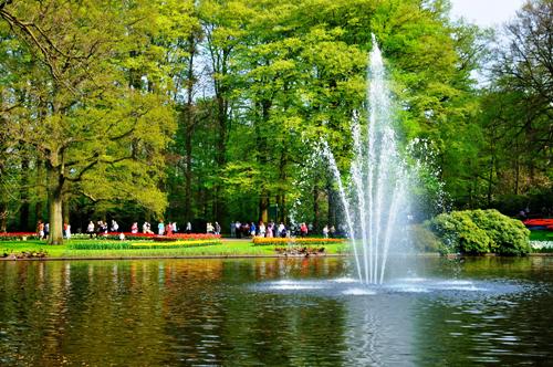 Keukenhof 2013