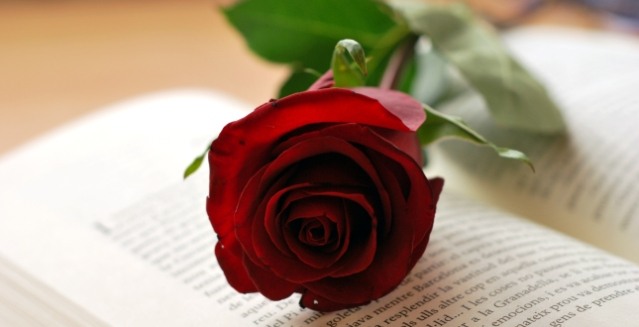 Sant Jordi: libros y rosas