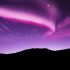 boreal