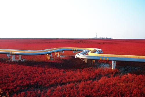 Lugares de España para visitar en primavera