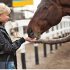 caballo