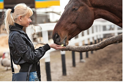 Las Carreras de Caballo de Sanlúcar de Barrameda