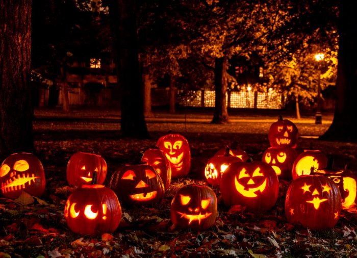 Halloween, ¿quién dijo miedo?