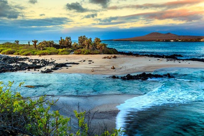 Las mejores islas para disfrutar del invierno más cálido