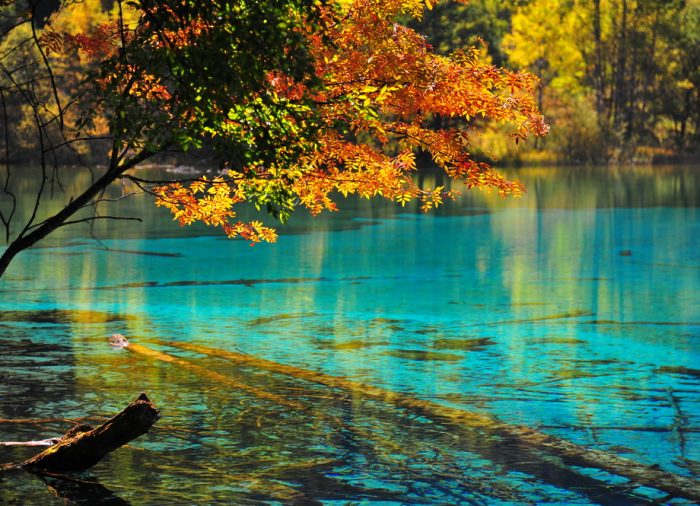 Turismo por los Parques Nacionales de América: Escenarios mágicos llenos de naturaleza