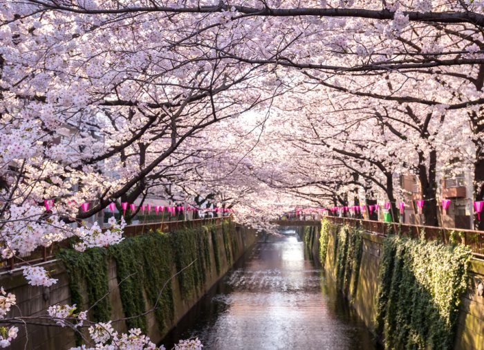 Tokio, todo un paraíso para las próximas Olimpiadas