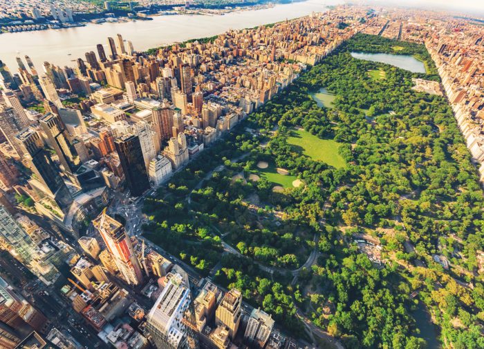 La ciudad de Nueva York en una semana