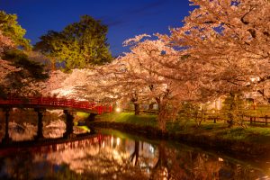 Castillo Hirosaki