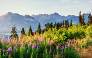 Zakopane, Polonia Zakopane, Polonia