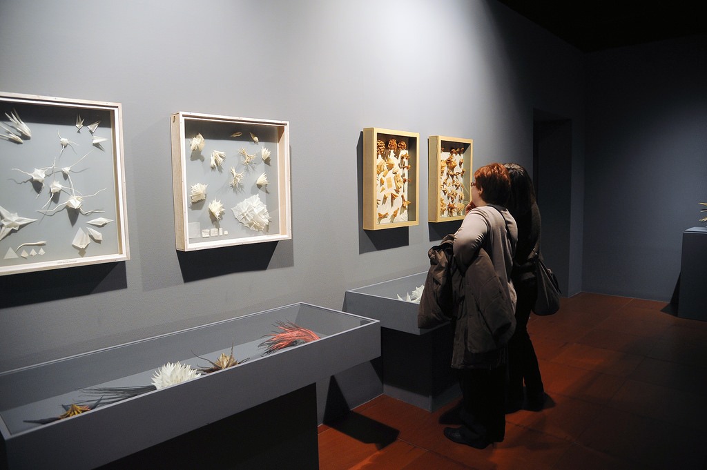 Museo de Origami Museo de Origami