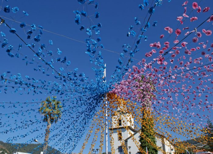 Las 6 actividades más emocionantes del Festival del Vino de Madeira que no te puedes perder