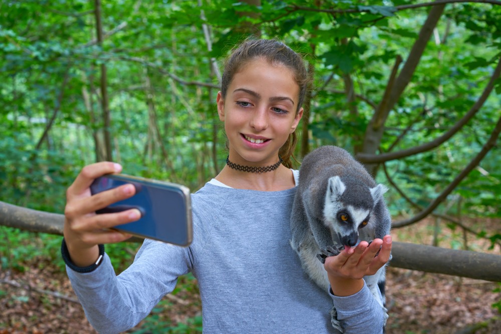 Dando de comer a un lemur