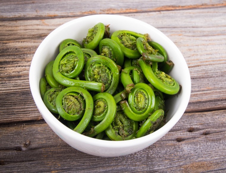 Fiddleheads Fiddleheads