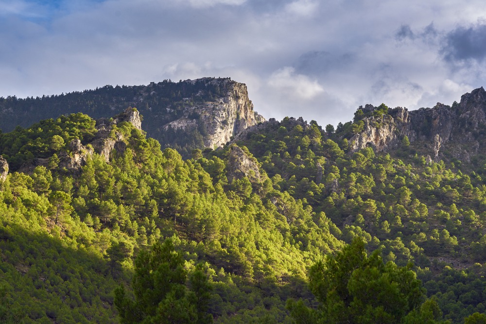 Parque Natural Sierra de Las Nieves Parque Natural Sierra de Las Nieves