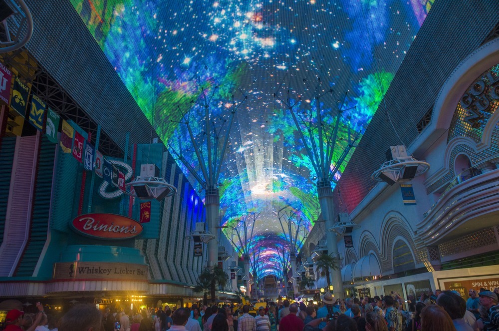 Fremont Experience