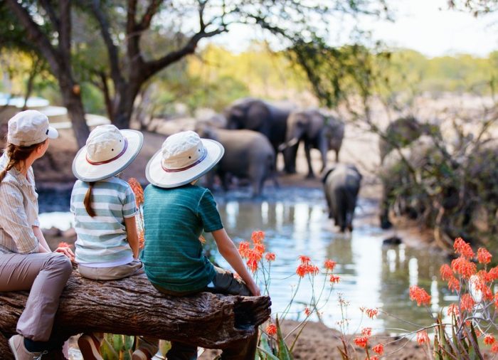 Tu aventura más épica en un safari por África