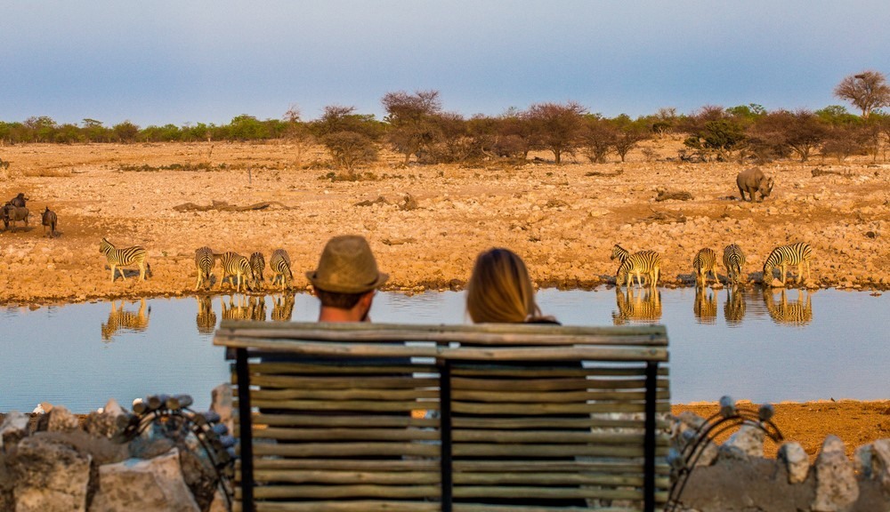 Pareja disfrutando del safari