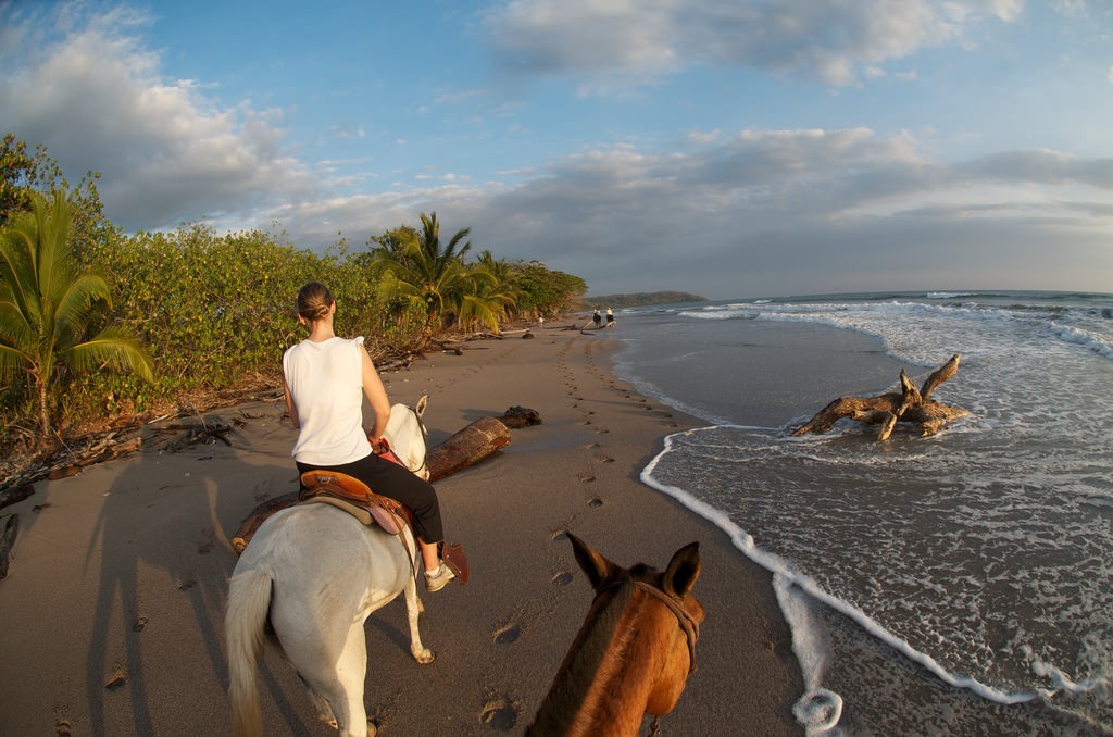 Paseo en caballo por la Península de Nicoya  Paseo en caballo por la Península de Nicoya