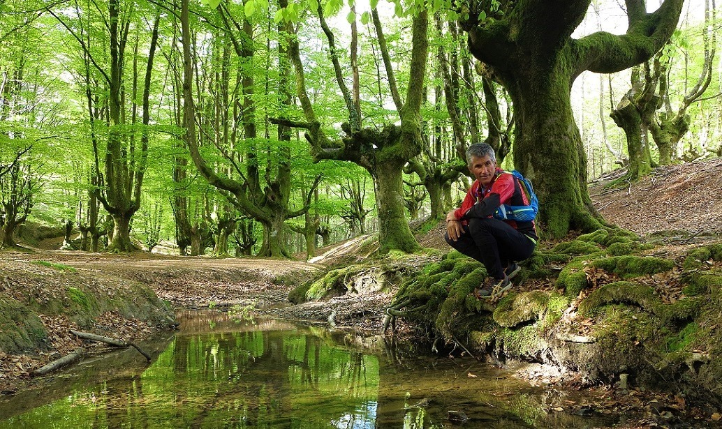 Excursionista en el Parque Natural de Gorbea