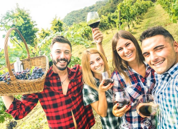 Enoturismo en La Rioja con las rutas del vino