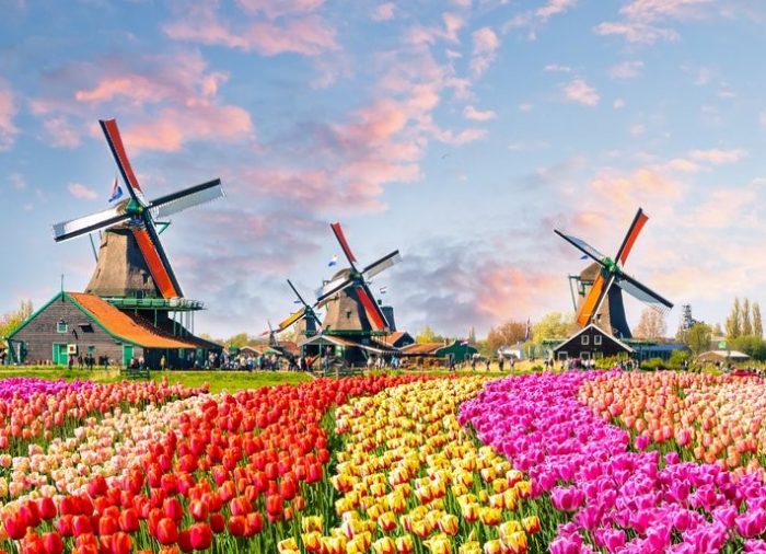Dos familias españolas se lanzan a la aventura de descubrir Holanda con Logitravel