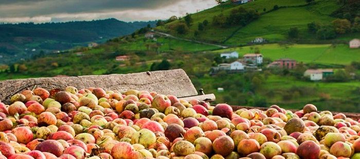 Descubre Asturias con la Ruta de la Manzana y la Sidra