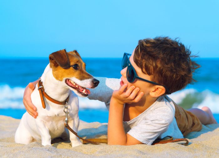 Los mejores hoteles de playa para viajar con tu mascota