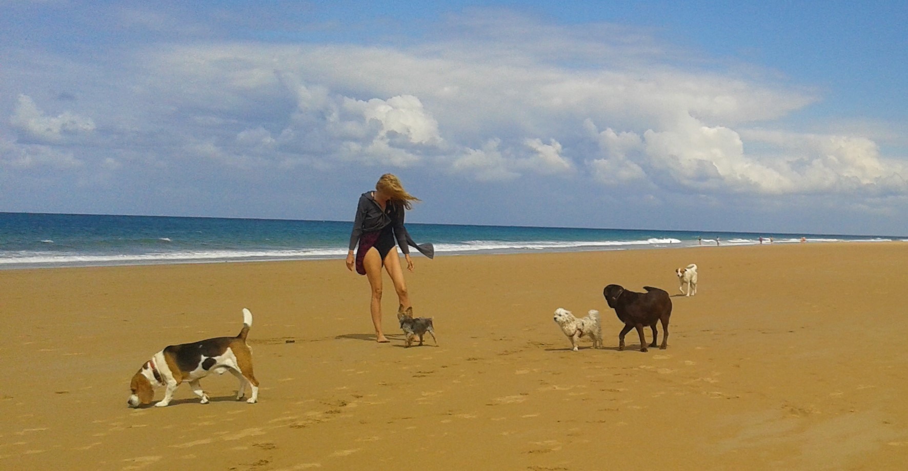 Chica paseando mascotas en playa de Santoña