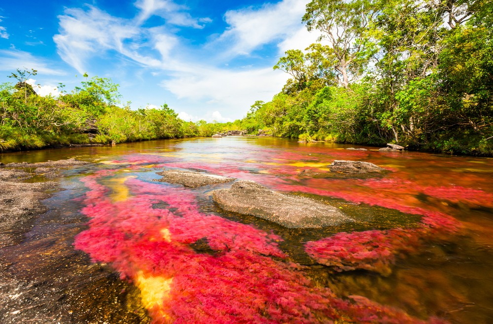 Río Caño Cristales