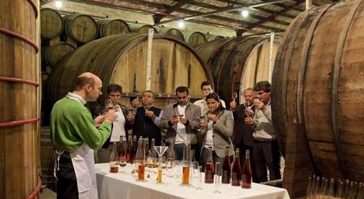 Cata de vinos en una bodega de La Rioja