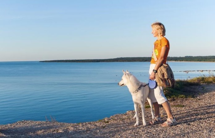 Playa Pet Friendly en Andalucía 