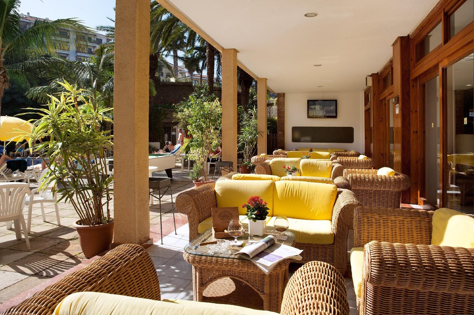 Smy Puerto de la Cruz