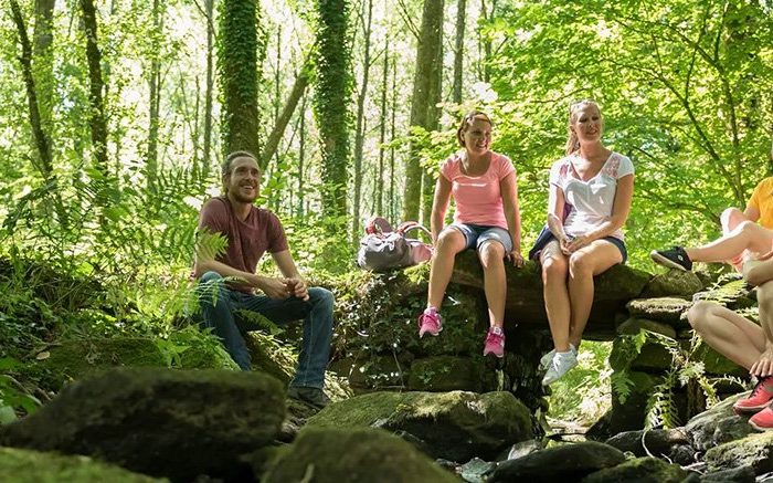 ¡Viva la naturaleza! Conoce algunos de los bosques más impresionantes del mundo