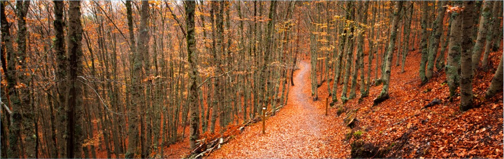 Castilla-La Mancha te robará el corazón