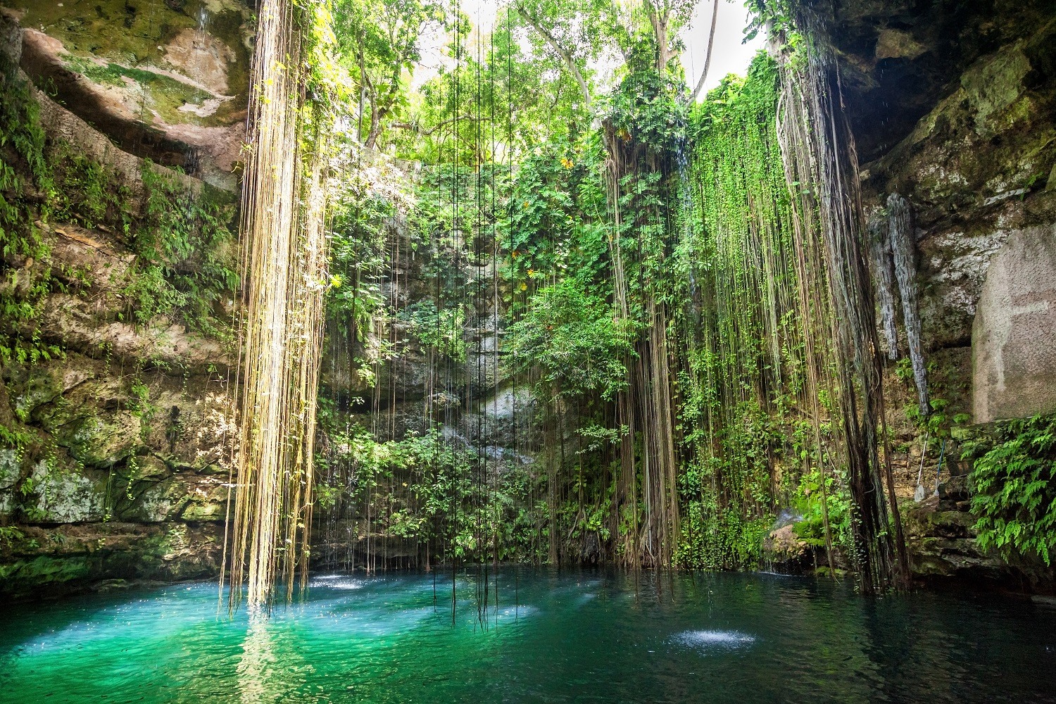 Cenote Riviera Maya