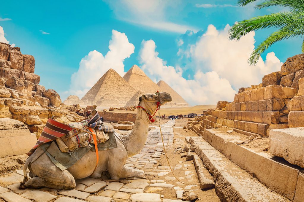 Explora el mundo en Egipto