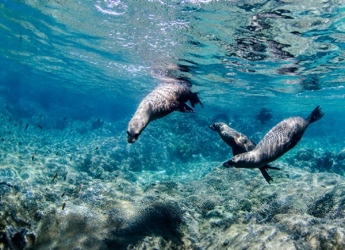 Si quieres unas vacaciones completamente en paz, este verano, ¡viaja a La Paz!