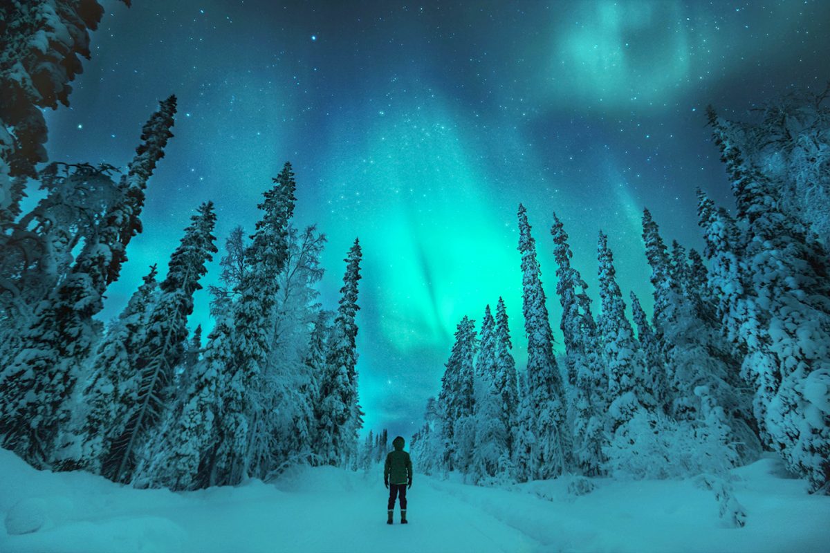 ¡Experimenta la magia de Laponia! Un plan inolvidable para este invierno