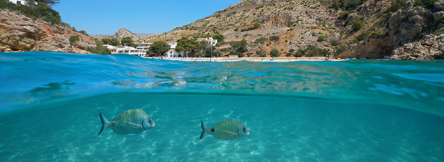 Playas Comunitat Valenciana Playas Comunitat Valenciana