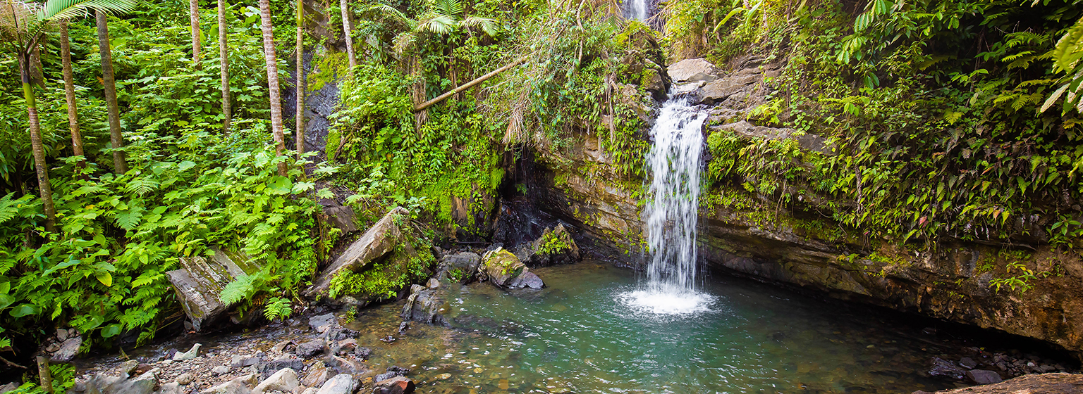 El Yunque El Yunque
