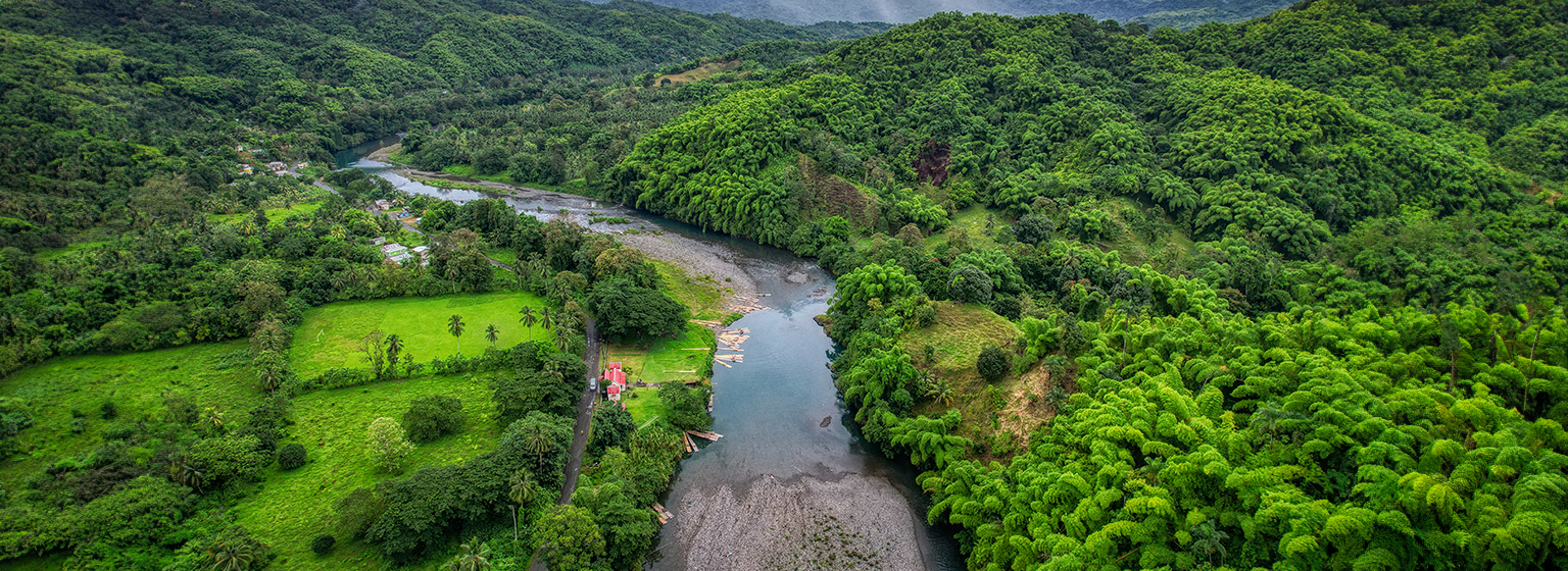 Naturaleza exuberannte Naturaleza exuberannte