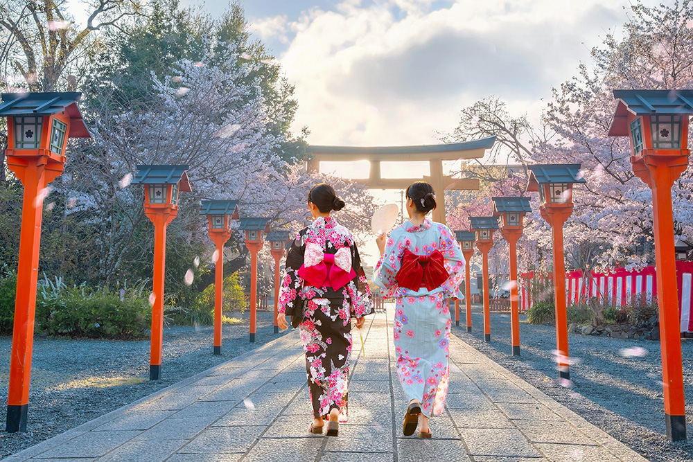 Dos mujeres dando un paseo por Japón con cerezos en flor