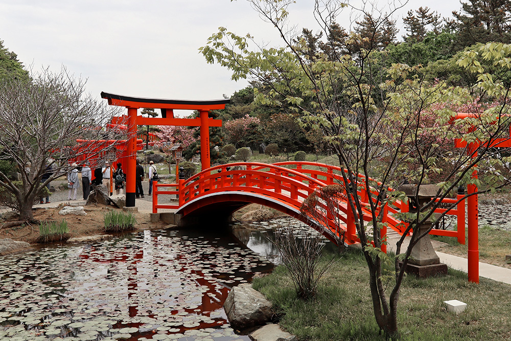 Torii en itinerario completo de 15 días por Japón