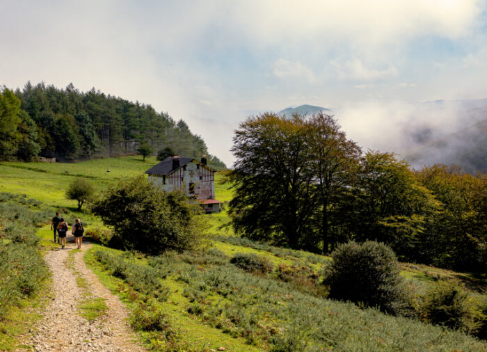 Euskadi – Basque Country, paraíso culinario