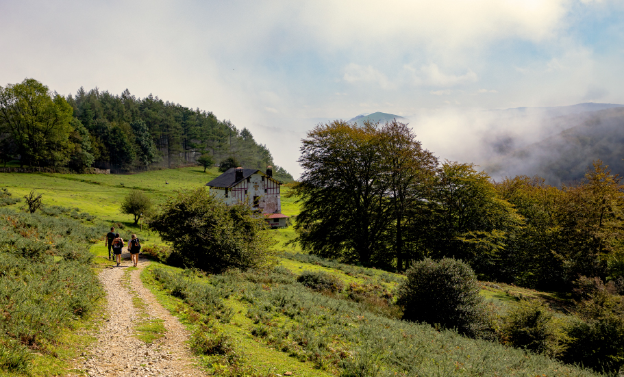 Euskadi – Basque Country, paraíso culinario