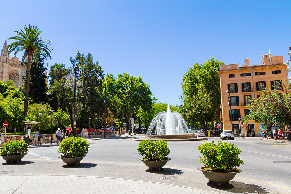Visita el Casco Antiguo de Palma de Mallorca y descubre Mallorca en 4 días. Plaza de la Reina